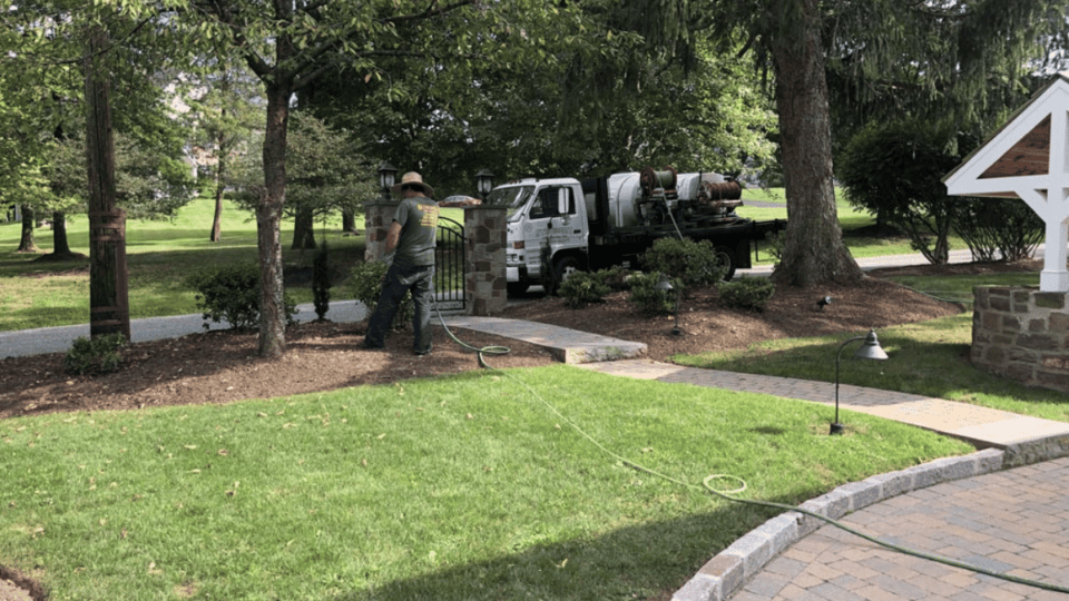 tree service in Zieglerville Pennsylvania